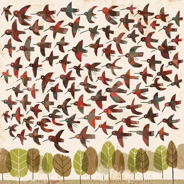 Gareth Lucas: Flying Birds by Gareth Lucas