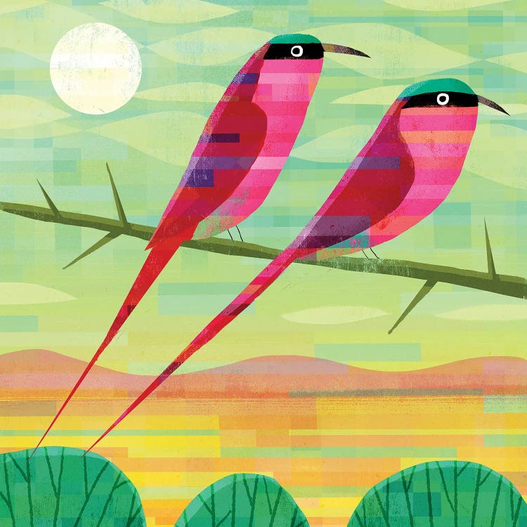 Carmine Bee-Eaters