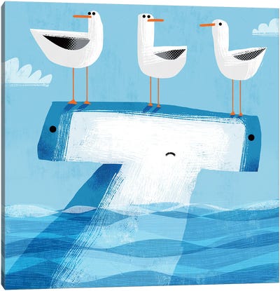 Hammerhead With Pesky Gulls Canvas Art Print - Gull & Seagull Art