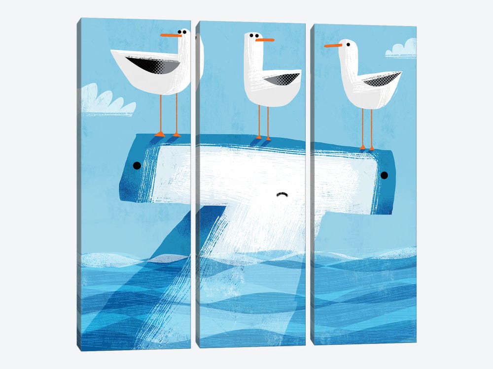Hammerhead With Pesky Gulls by Gareth Lucas 3-piece Canvas Print