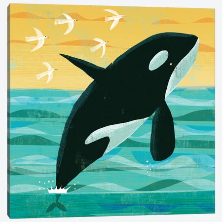 Killer Whale Canvas Print #GLS36} by Gareth Lucas Canvas Artwork