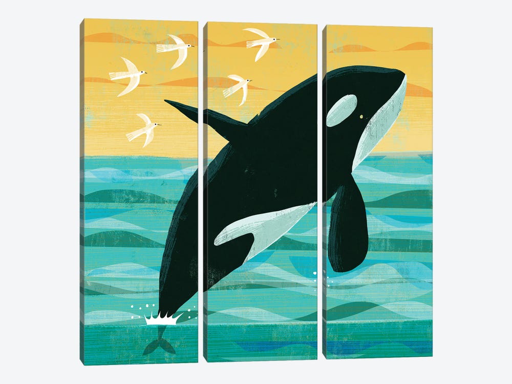 Killer Whale by Gareth Lucas 3-piece Canvas Art