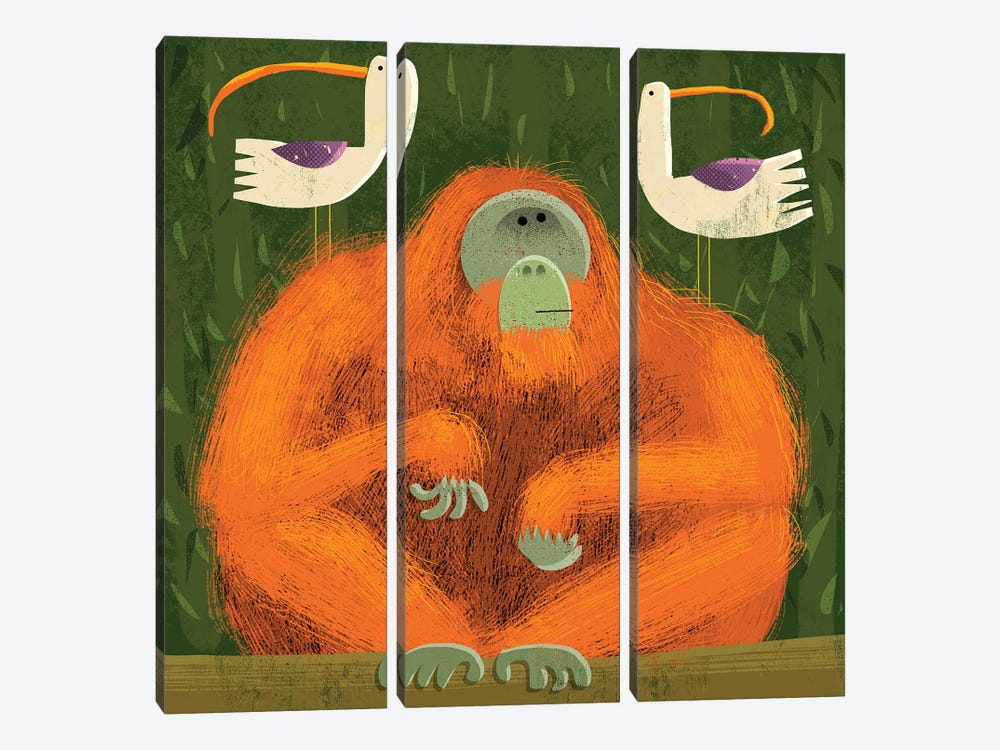 Orangutan With Pesky Birds by Gareth Lucas 3-piece Canvas Print