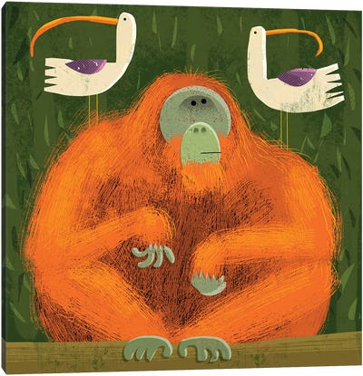 Orangutan With Pesky Birds Canvas Art Print - Animal Lover
