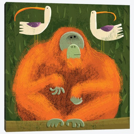 Orangutan With Pesky Birds Canvas Print #GLS42} by Gareth Lucas Canvas Wall Art