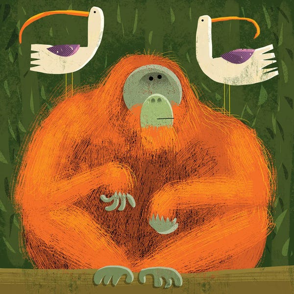 Primates: Orangutan With Pesky Birds by Gareth Lucas