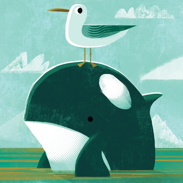 Gareth Lucas: Orca With Pesky Gull by Gareth Lucas