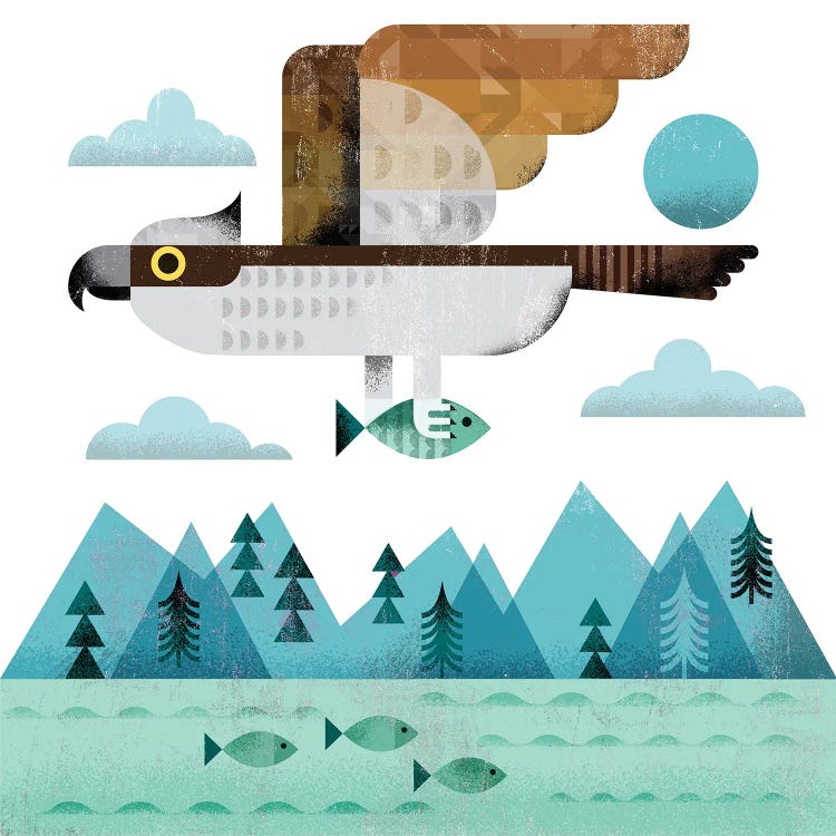 Osprey by Gareth Lucas wall art