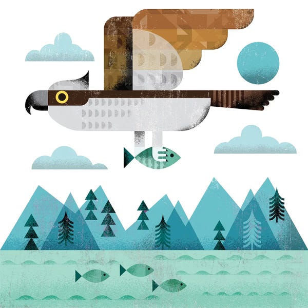 Mid-Century Modern Animals: Osprey by Gareth Lucas