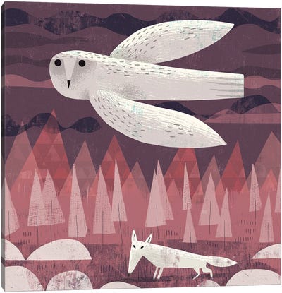 Snowy Owl And Arctic Fox Canvas Art Print - Gareth Lucas