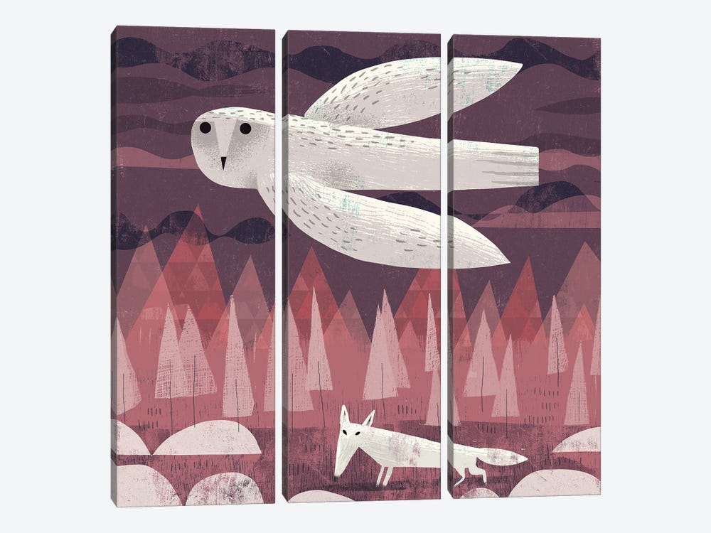 Snowy Owl And Arctic Fox by Gareth Lucas 3-piece Art Print