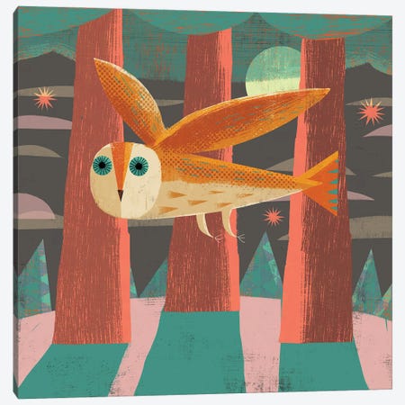 Owl Flying Canvas Print #GLS4} by Gareth Lucas Canvas Print