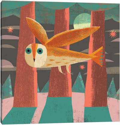 Owl Flying Canvas Art Print - Gareth Lucas