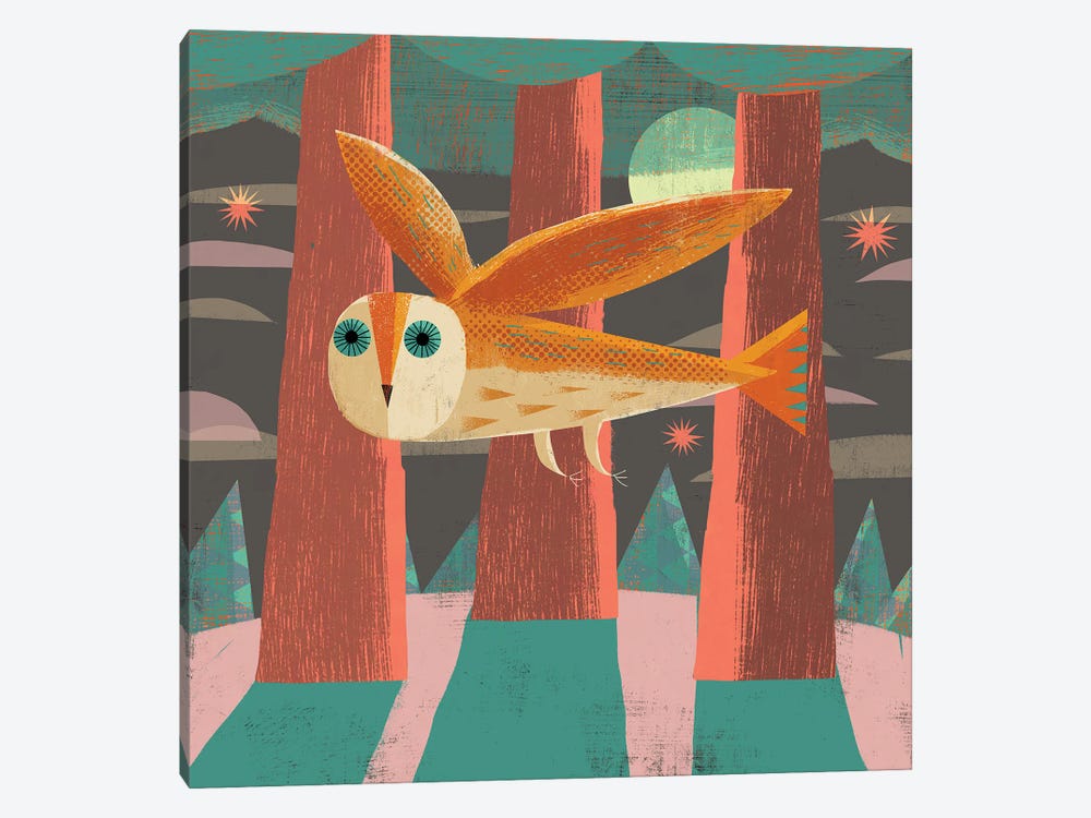 Owl Flying by Gareth Lucas 1-piece Canvas Artwork