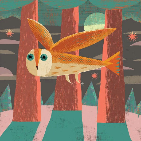 Gareth Lucas: Owl Flying by Gareth Lucas