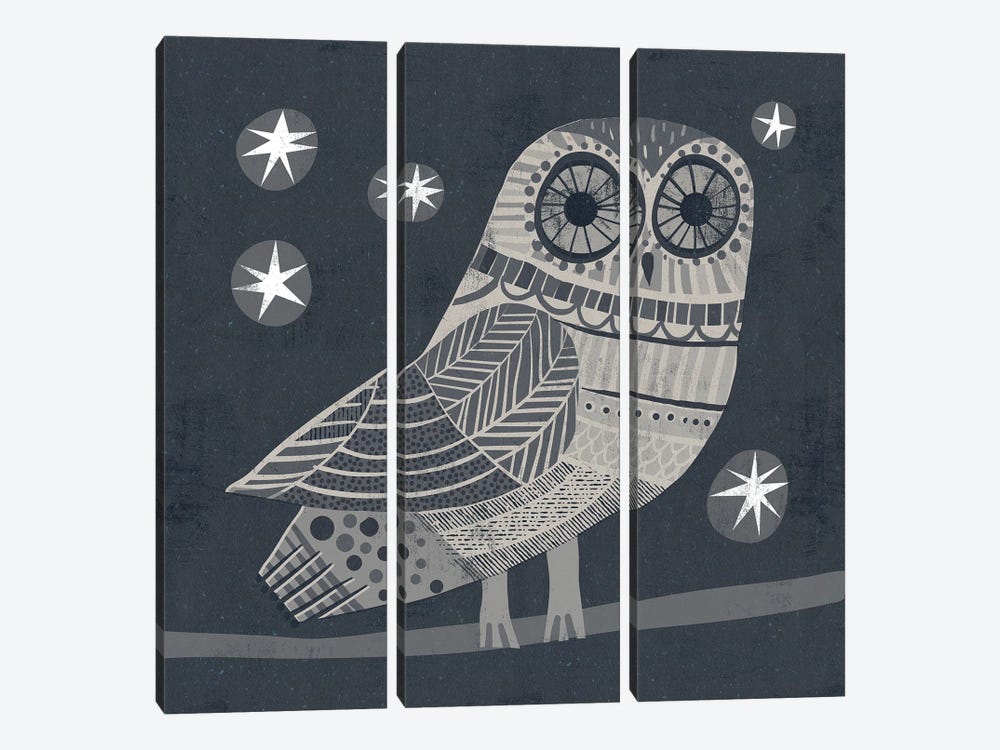 Owl by Gareth Lucas 3-piece Canvas Print