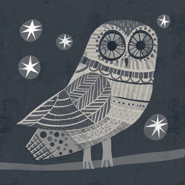 Gareth Lucas: Owl by Gareth Lucas