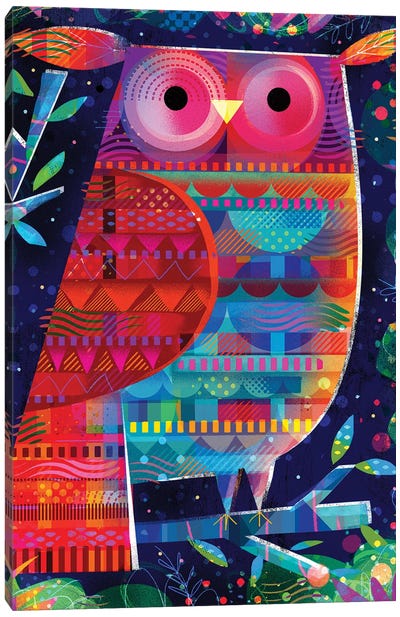 Pattern Owl Canvas Art Print - Kids' Space