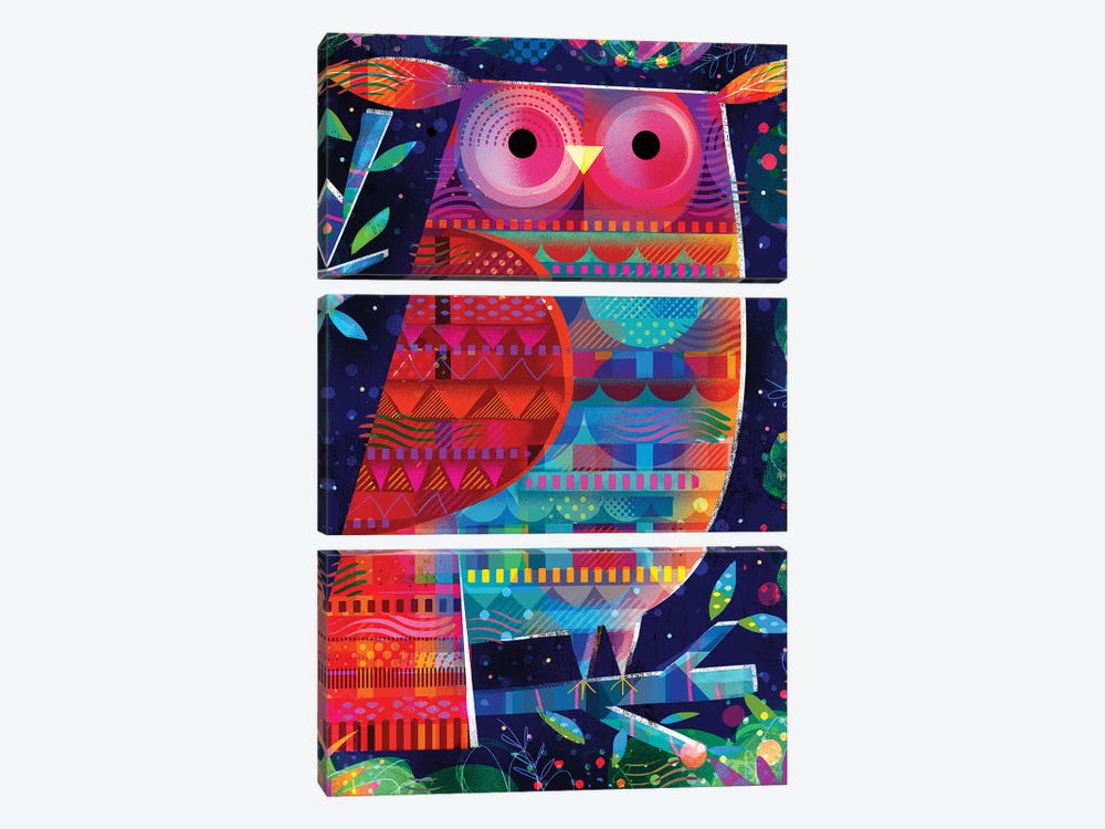 Pattern Owl by Gareth Lucas 3-piece Canvas Artwork