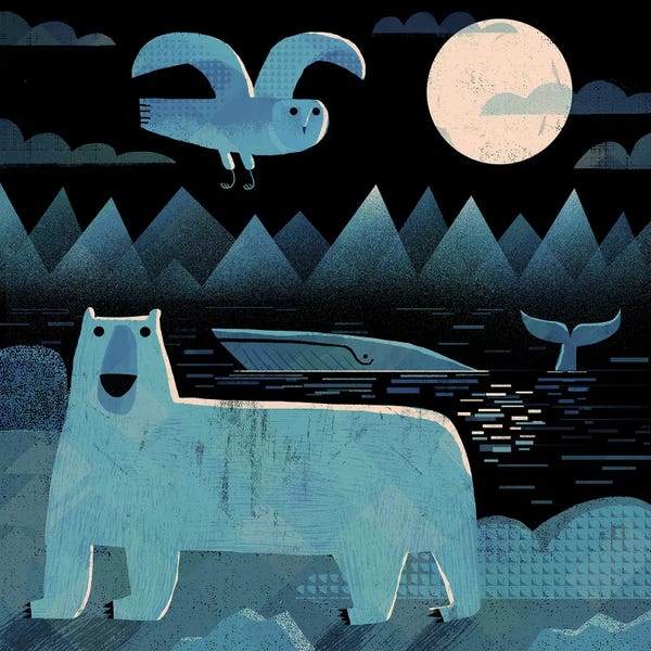 Gareth Lucas: Bear Whale And Owl by Gareth Lucas