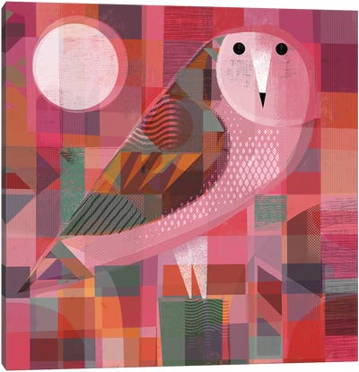 Red Owl Canvas Art Print - Gareth Lucas