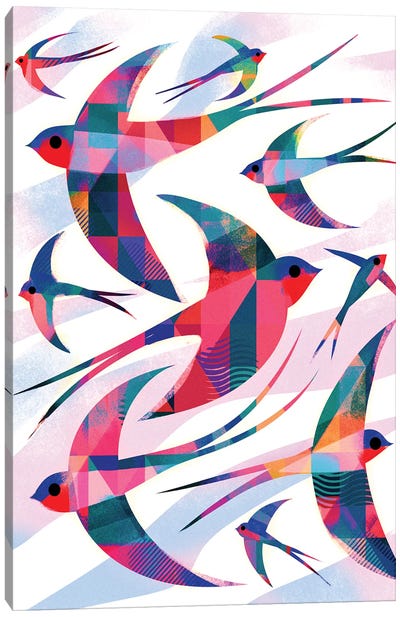 Swallows Canvas Art Print
