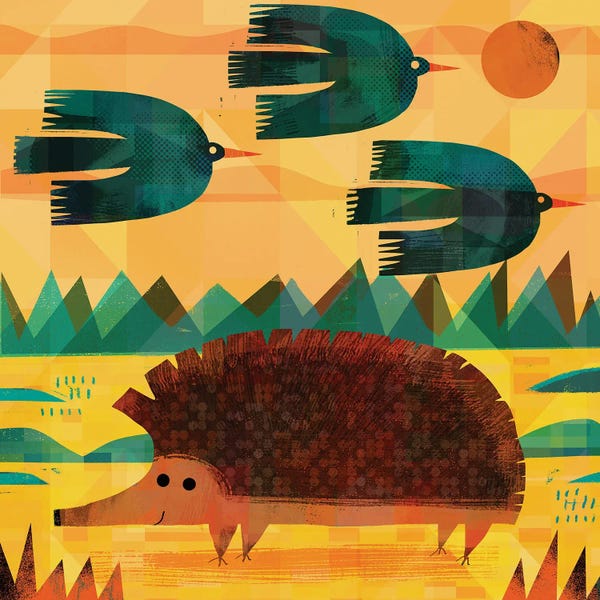 Hedgehogs: Three Coughs And A Hedgehog by Gareth Lucas