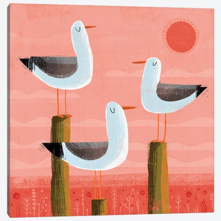 Three Gulls Canvas Print #GLS83} by Gareth Lucas Canvas Artwork