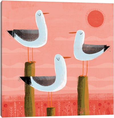 Three Gulls Canvas Art Print - Gareth Lucas