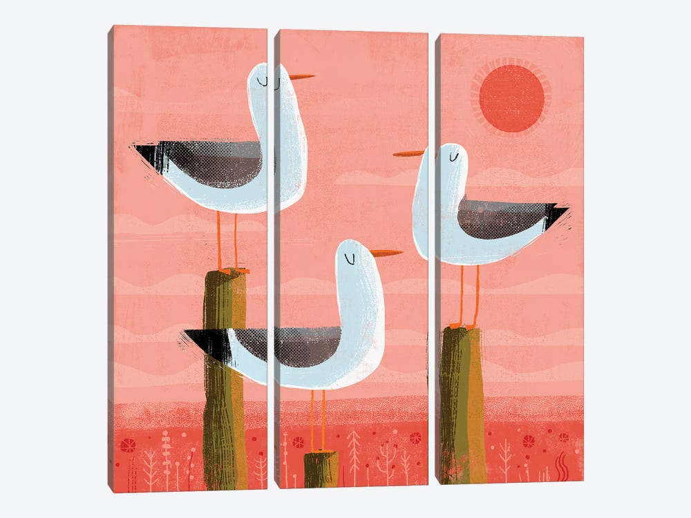 Three Gulls by Gareth Lucas 3-piece Canvas Wall Art