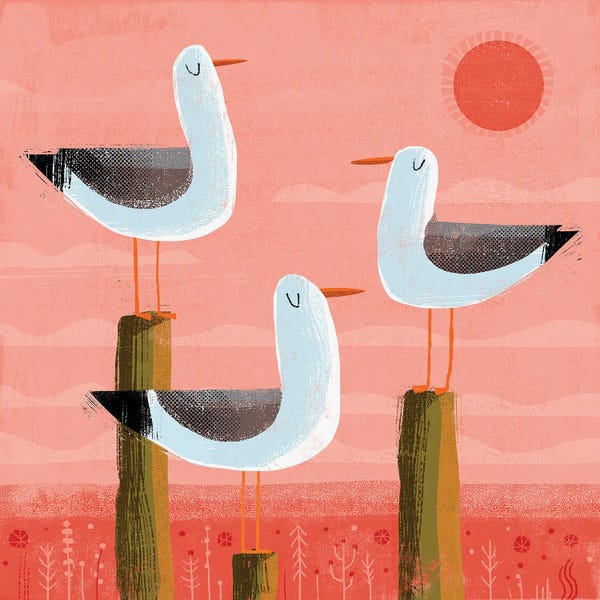Gareth Lucas: Three Gulls by Gareth Lucas