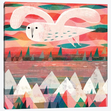 Snowy Owl Canvas Print #GLS87} by Gareth Lucas Art Print