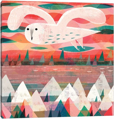 Snowy Owl Canvas Art Print - Gareth Lucas