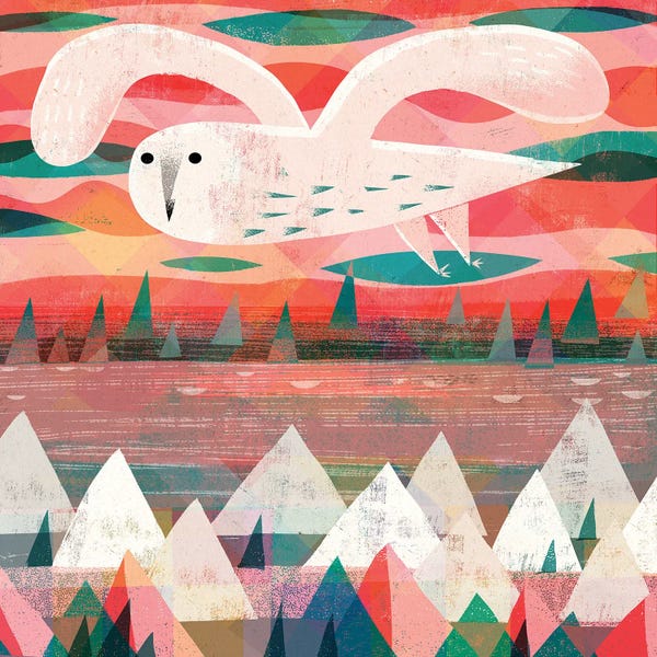 Gareth Lucas: Snowy Owl by Gareth Lucas