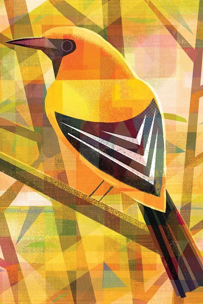 Yellow Oriole by Gareth Lucas framed wall art