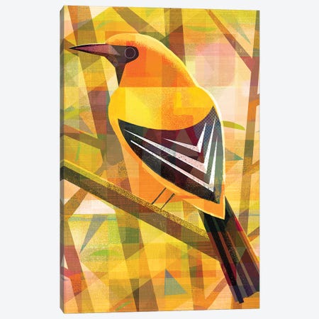 Yellow Oriole Canvas Print #GLS89} by Gareth Lucas Canvas Art