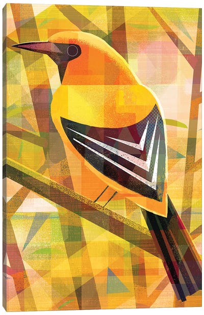 Yellow Oriole Canvas Art Print - Gareth Lucas