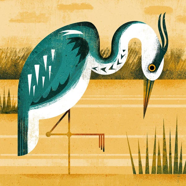 Herons: Heron by Gareth Lucas