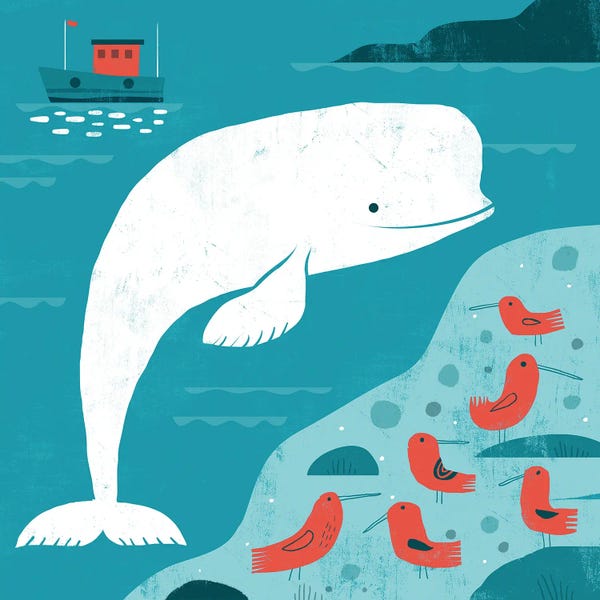 Beluga Whales: Benny The Baluga by Gareth Lucas