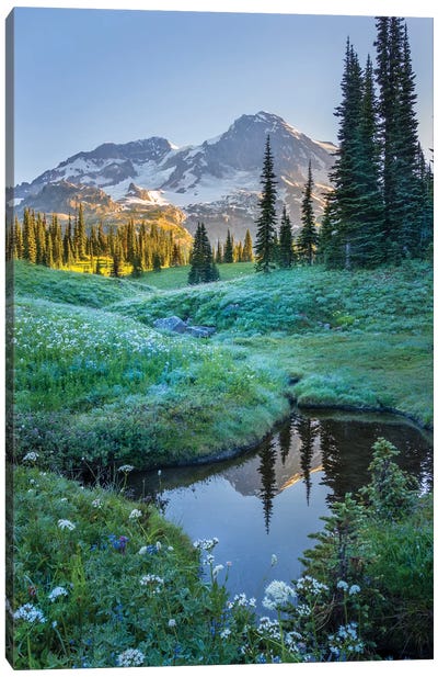 USA. Washington State. Mt. Rainier reflected in tarn amid wildflowers, Mt. Rainier National Park I Canvas Art Print