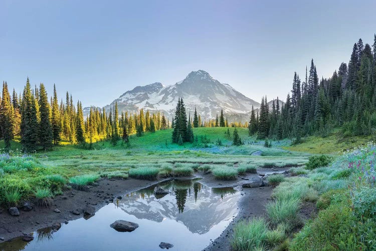 USA. Washington State. Mt. Rainier reflected in tarn amid wildflowers, Mt. Rainier National Park II