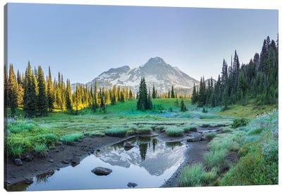 USA. Washington State. Mt. Rainier reflected in tarn amid wildflowers, Mt. Rainier National Park II Canvas Art Print