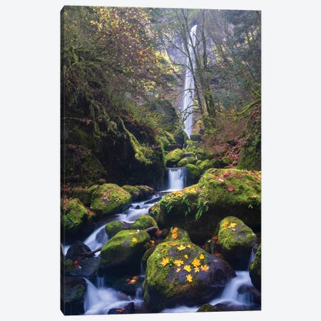 USA, Oregon. Autumn view of McCord Creek flowing below Elowah Falls in the Columbia River Gorge. Canvas Print #GLU19} by Gary Luhm Canvas Print