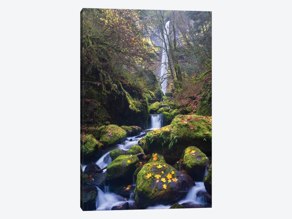 USA, Oregon. Autumn view of McCord Creek flowing below Elowah Falls in the Columbia River Gorge. by Gary Luhm 1-piece Canvas Art Print