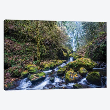 USA, Oregon. Autumn view of McCord Creek flowing below Elowah Falls in the Columbia River Gorge. Canvas Print #GLU20} by Gary Luhm Canvas Art