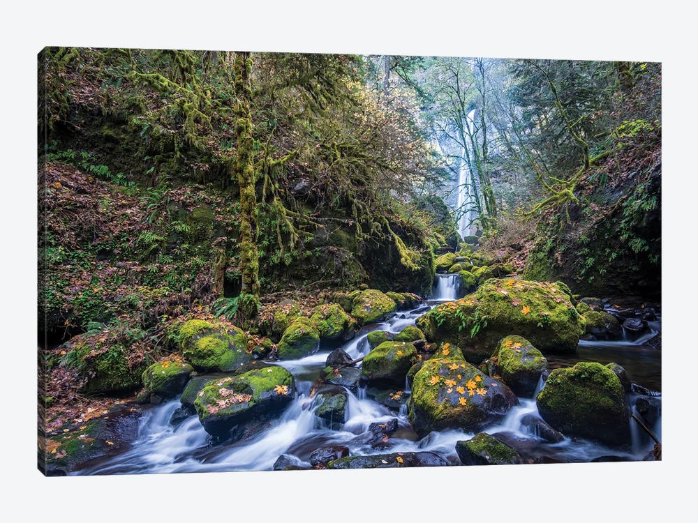 USA, Oregon. Autumn view of McCord Creek flowing below Elowah Falls in the Columbia River Gorge. by Gary Luhm 1-piece Art Print
