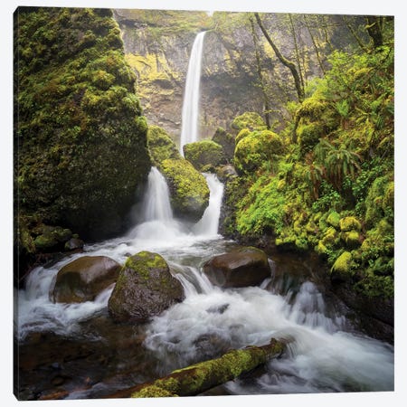 USA, Oregon. Spring view of McCord Creek flowing below Elowah Falls in the Columbia River Gorge. Canvas Print #GLU21} by Gary Luhm Canvas Art
