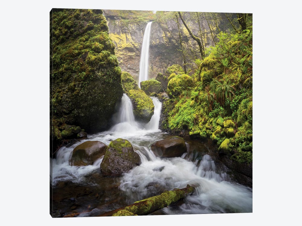 USA, Oregon. Spring view of McCord Creek flowing below Elowah Falls in the Columbia River Gorge. by Gary Luhm 1-piece Canvas Wall Art