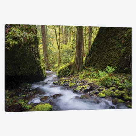 USA, Oregon. Spring view of Ruckle Creek in the Columbia River Gorge. Canvas Print #GLU22} by Gary Luhm Canvas Artwork