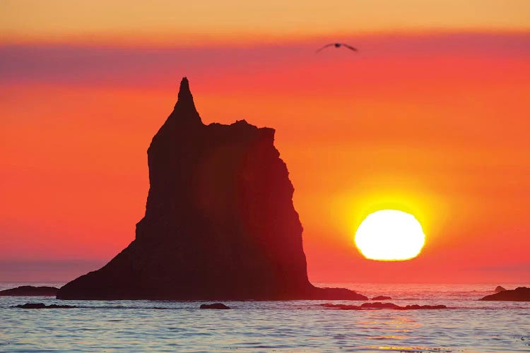 Sea Stack With A Setting Sun In The Background, Toleak Point, Olympic National Park, Washington, USA